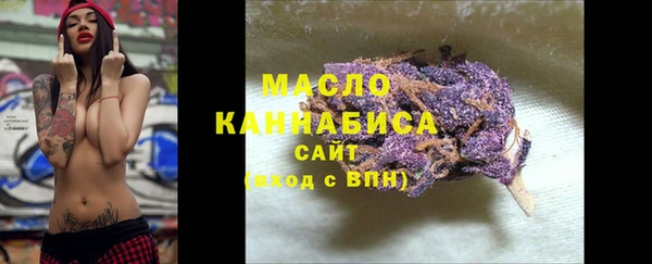 сатива Инта