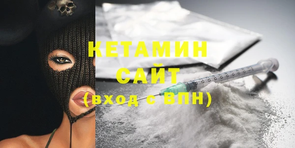 сатива Инта