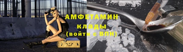 сатива Инта