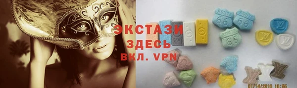 сатива Инта
