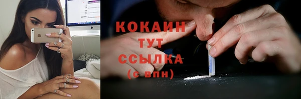 сатива Инта