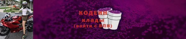 сатива Инта
