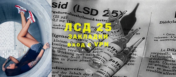 сатива Инта