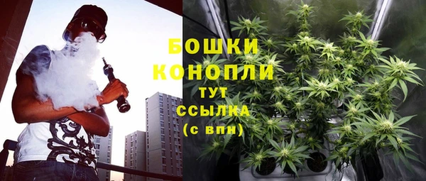 сатива Инта