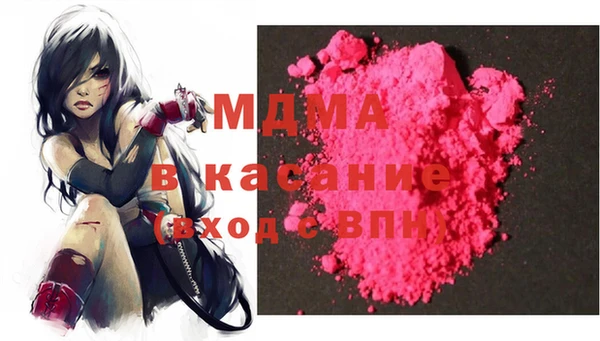 сатива Инта