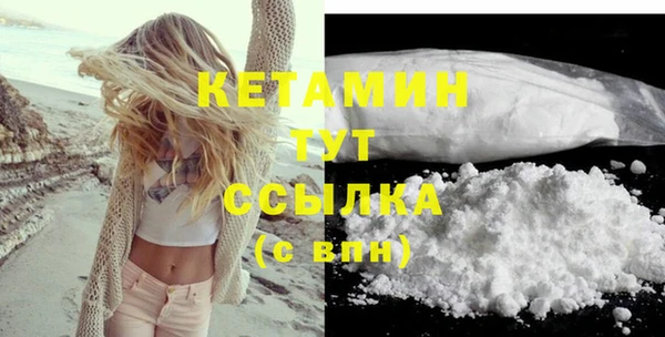 сатива Инта
