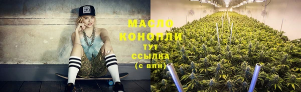сатива Инта