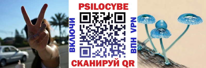 Галлюциногенные грибы Magic Shrooms  Купить где  Саянск 